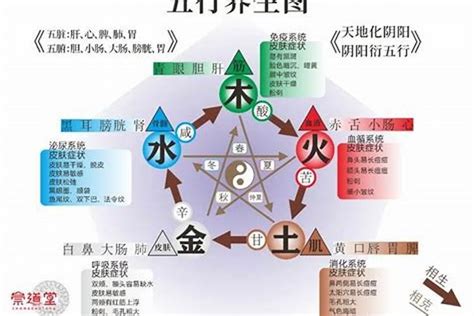 五行木旺缺水